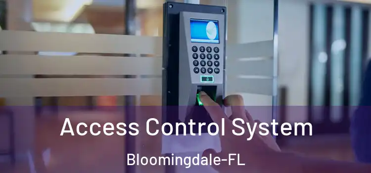 Access Control System Bloomingdale-FL