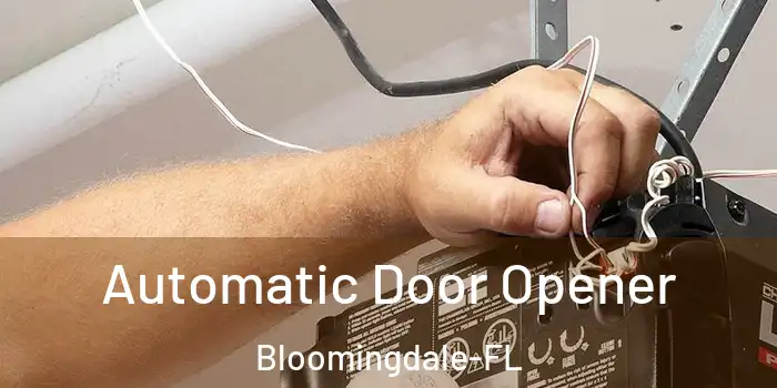 Automatic Door Opener Bloomingdale-FL