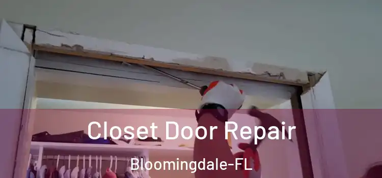  Closet Door Repair Bloomingdale-FL