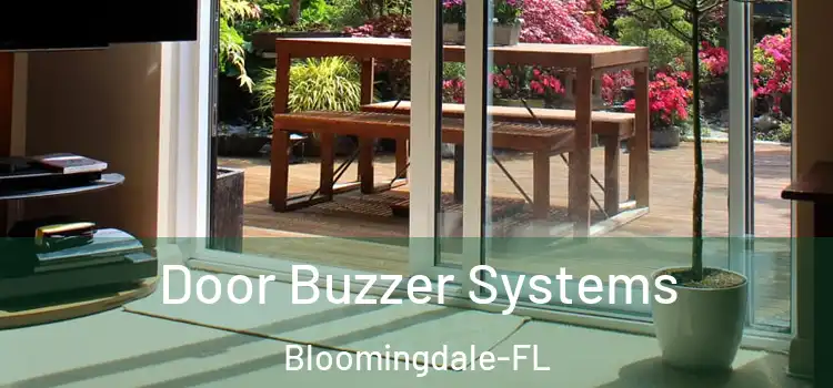  Door Buzzer Systems Bloomingdale-FL