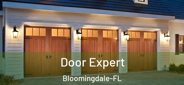  Door Expert Bloomingdale-FL