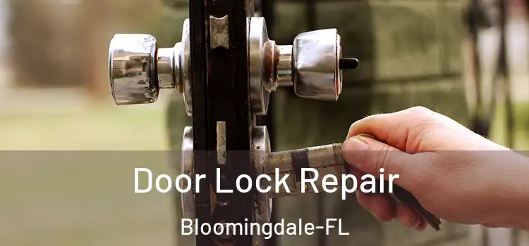 Door Lock Repair Bloomingdale-FL