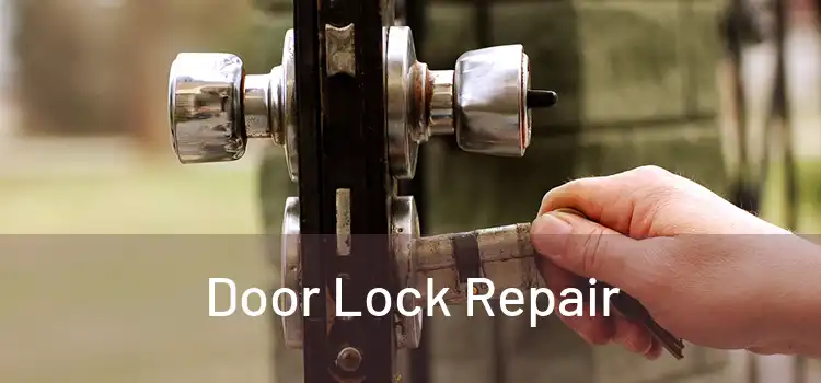 Door Lock Repair