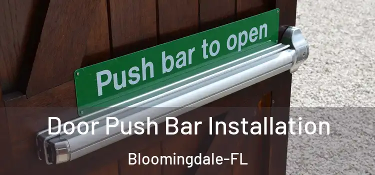  Door Push Bar Installation Bloomingdale-FL