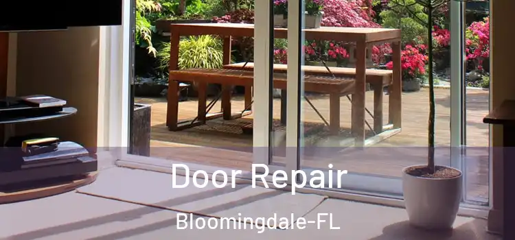 Door Repair Bloomingdale-FL