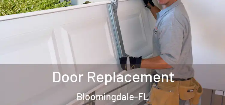 Door Replacement Bloomingdale-FL