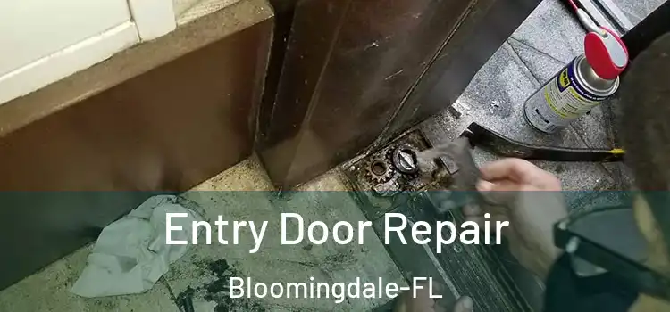  Entry Door Repair Bloomingdale-FL
