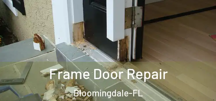 Frame Door Repair Bloomingdale-FL