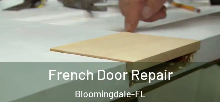  French Door Repair Bloomingdale-FL