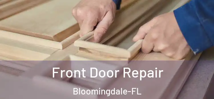  Front Door Repair Bloomingdale-FL