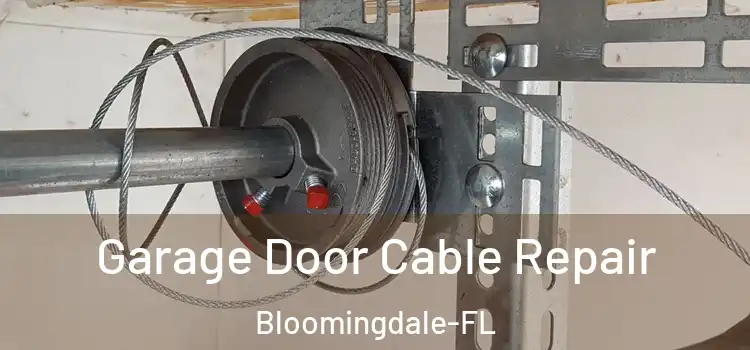  Garage Door Cable Repair Bloomingdale-FL