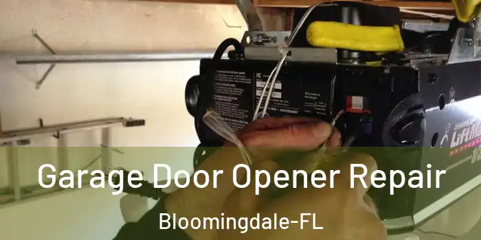  Garage Door Opener Repair Bloomingdale-FL