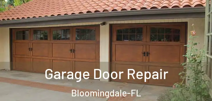  Garage Door Repair Bloomingdale-FL