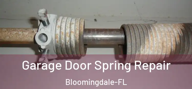  Garage Door Spring Repair Bloomingdale-FL
