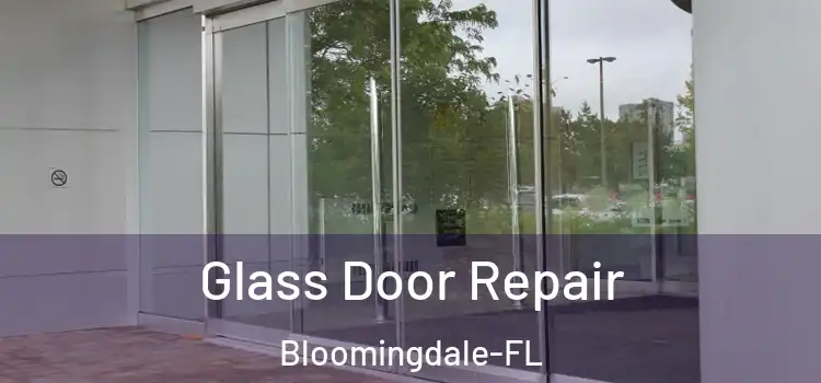  Glass Door Repair Bloomingdale-FL