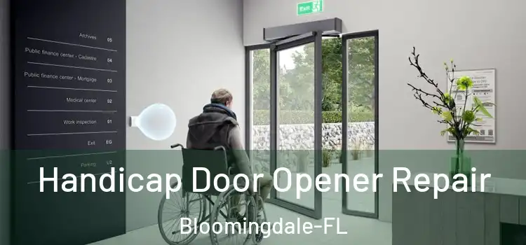 Handicap Door Opener Repair Bloomingdale-FL