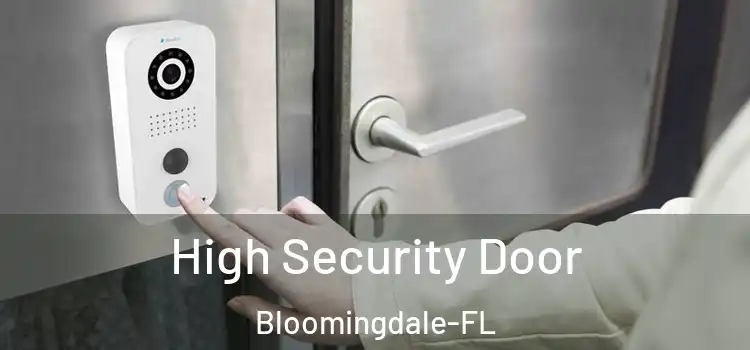  High Security Door Bloomingdale-FL