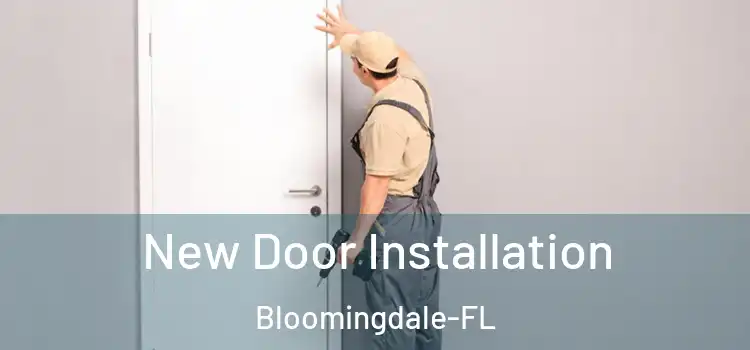  New Door Installation Bloomingdale-FL