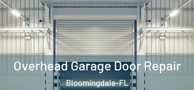  Overhead Garage Door Repair Bloomingdale-FL