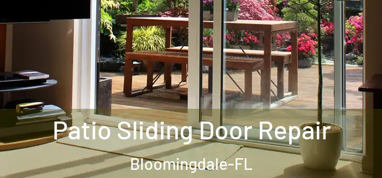  Patio Sliding Door Repair Bloomingdale-FL