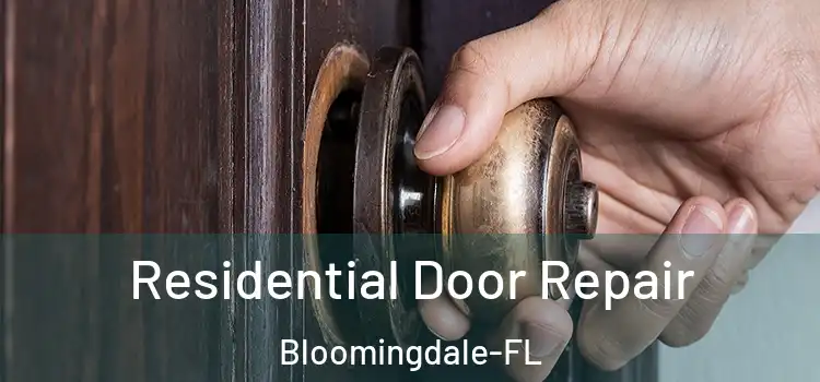  Residential Door Repair Bloomingdale-FL