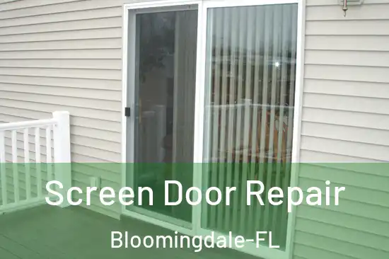  Screen Door Repair Bloomingdale-FL