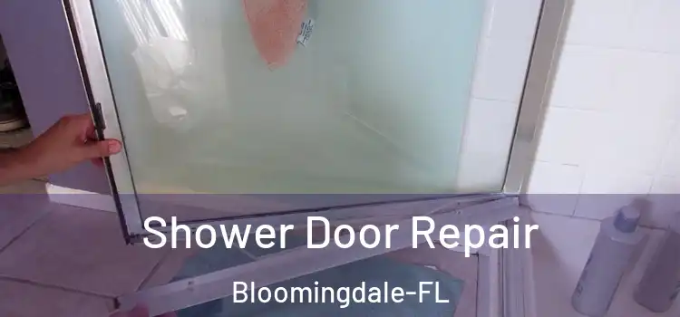  Shower Door Repair Bloomingdale-FL