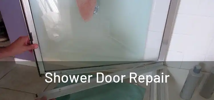 Shower Door Repair