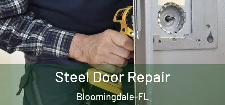  Steel Door Repair Bloomingdale-FL