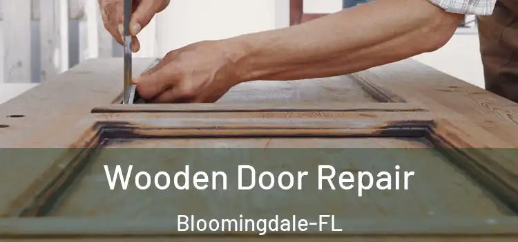  Wooden Door Repair Bloomingdale-FL